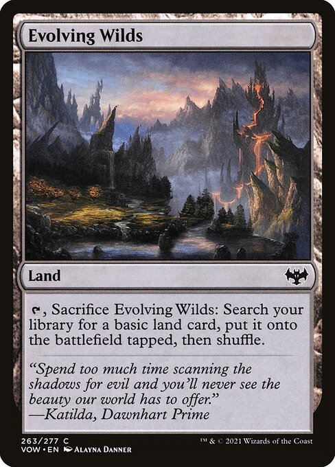 Evolving Wilds [Foil]