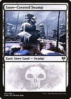 Snow-Covered Swamp