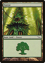 Forest