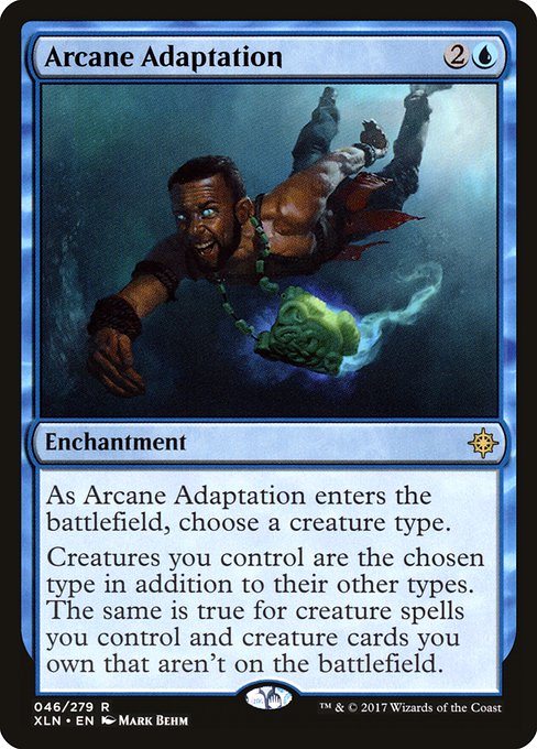 Arcane Adaptation [Foil]