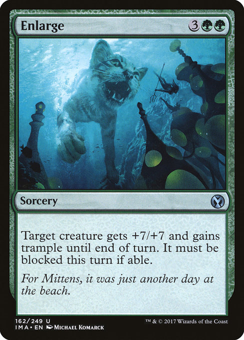 Enlarge [Foil]