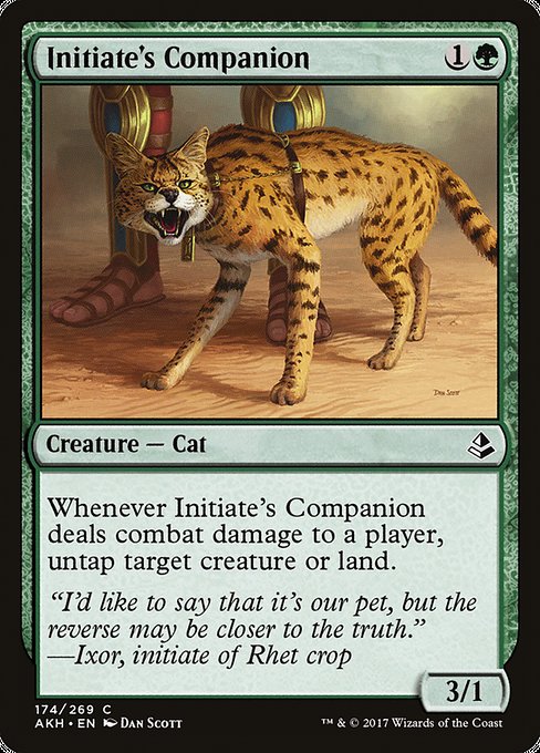 Initiate's Companion [Foil]