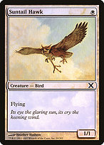 Suntail Hawk [Foil]
