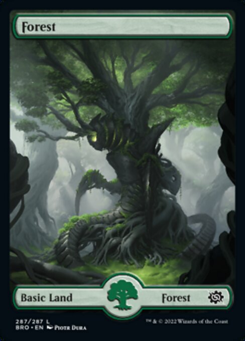 Forest [Full Art Foil]