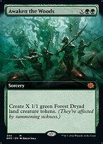 Awaken the Woods [Extended Artwork]