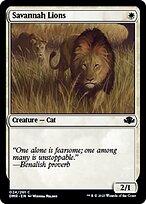 Savannah Lions