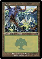 Forest [Showcase Retro Frame]