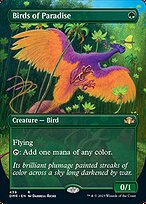 Birds of Paradise [Borderless]