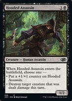 Hooded Assassin