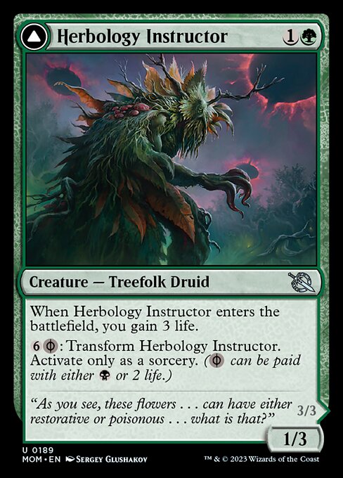 Herbology Instructor // Malady Invoker [Foil]