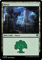 Forest