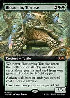 Blossoming Tortoise [Extended Artwork]