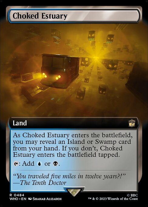 Choked Estuary [Extended Artwork]
