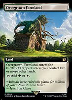 Overgrown Farmland [Extended Artwork]