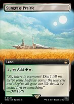 Sungrass Prairie [Extended Artwork]