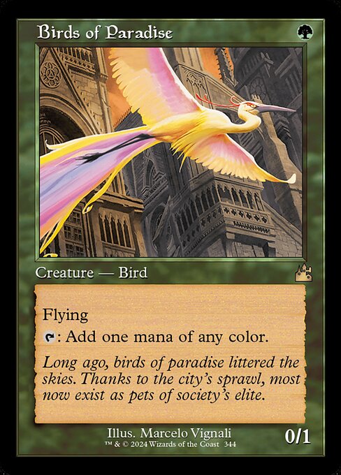Birds of Paradise [Retro Frame Foil]