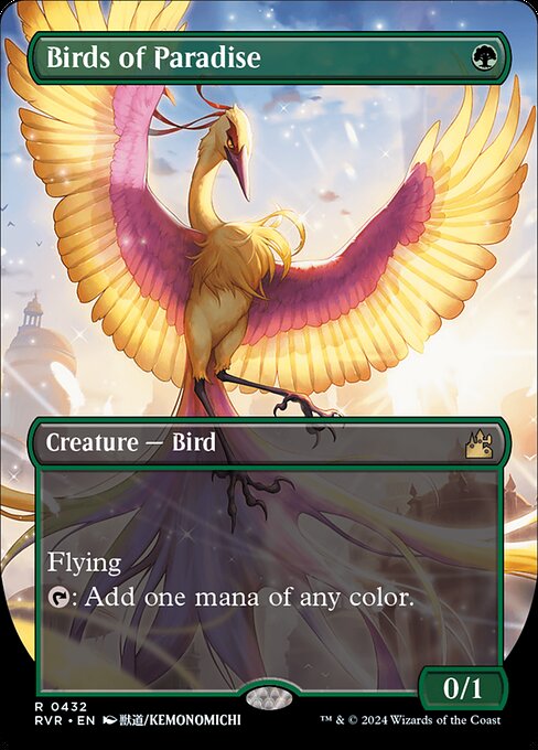 Birds of Paradise [Borderless]