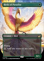 Birds of Paradise [Borderless]
